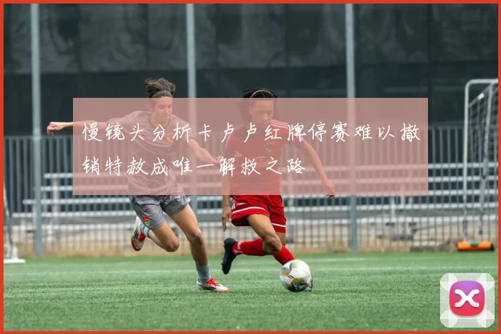 慢镜头分析卡卢卢红牌停赛难以撤销特赦成唯一解救之路