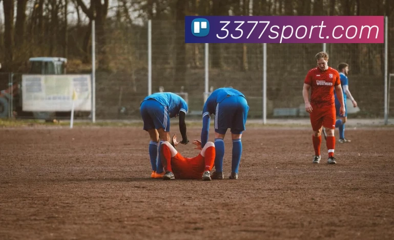 3377体育平台生态图