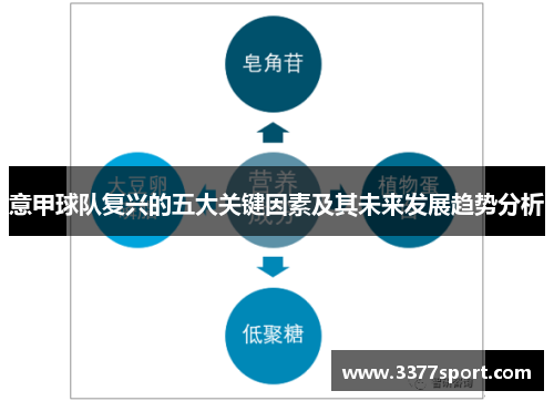 意甲球队复兴的五大关键因素及其未来发展趋势分析