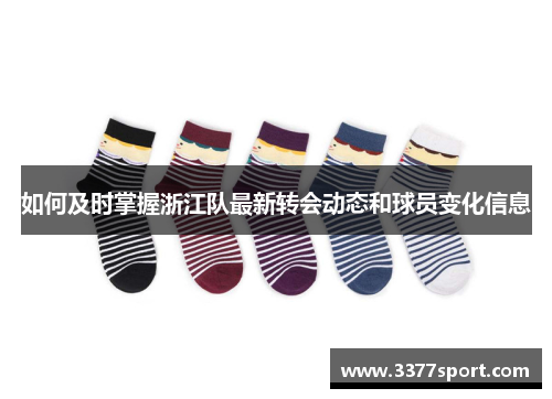 如何及时掌握浙江队最新转会动态和球员变化信息