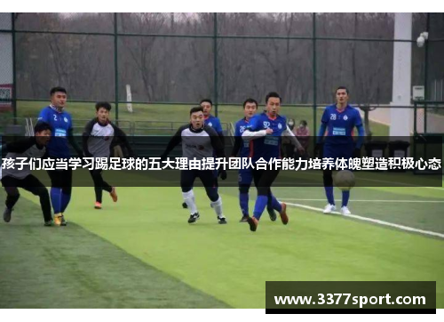 孩子们应当学习踢足球的五大理由提升团队合作能力培养体魄塑造积极心态