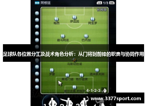 足球队各位置分工及战术角色分析：从门将到前锋的职责与协同作用