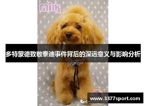 多特蒙德致敬泰迪事件背后的深远意义与影响分析