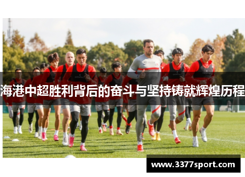 海港中超胜利背后的奋斗与坚持铸就辉煌历程