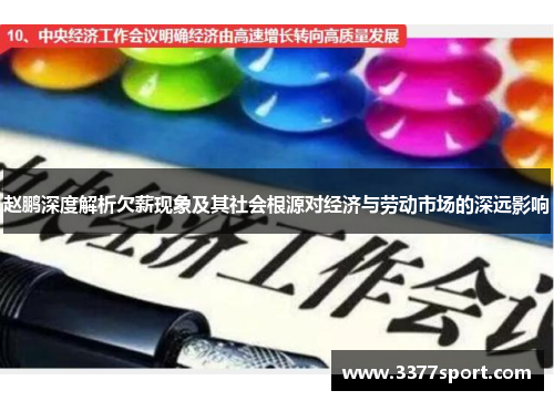 赵鹏深度解析欠薪现象及其社会根源对经济与劳动市场的深远影响