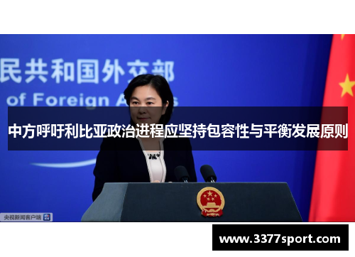 中方呼吁利比亚政治进程应坚持包容性与平衡发展原则