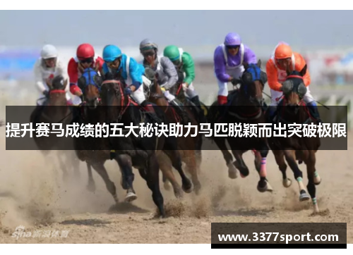 提升赛马成绩的五大秘诀助力马匹脱颖而出突破极限
