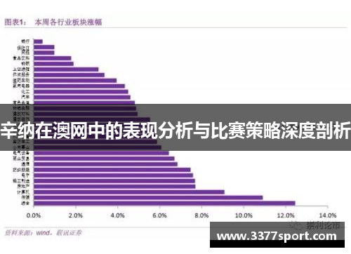 辛纳在澳网中的表现分析与比赛策略深度剖析