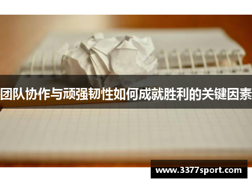 团队协作与顽强韧性如何成就胜利的关键因素
